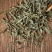 萹蓄草野生中药材扁蓄草扁竹竹节草蚂蚁草猪牙草批发零售