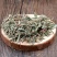 萹蓄草野生中药材扁蓄草扁竹竹节草蚂蚁草猪牙草批发零售
