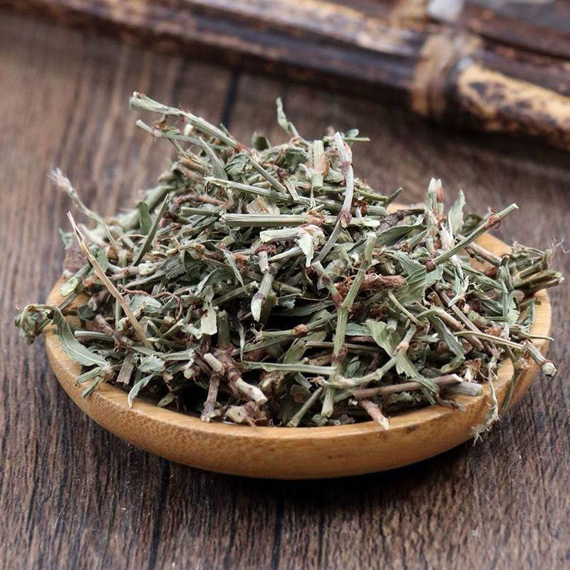 萹蓄草野生中药材扁蓄草扁竹竹节草蚂蚁草猪牙草批发零售