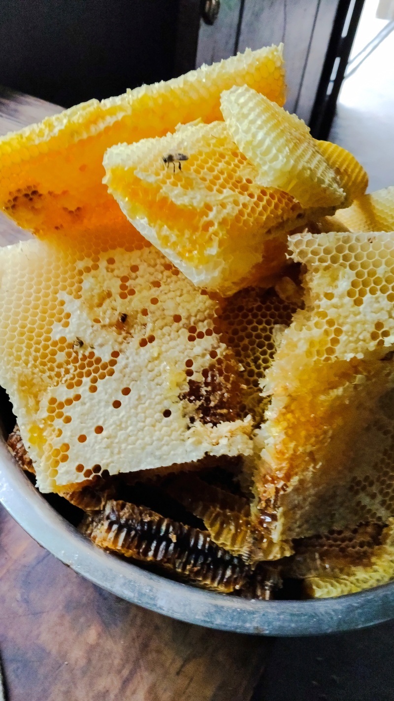 蜂蜜