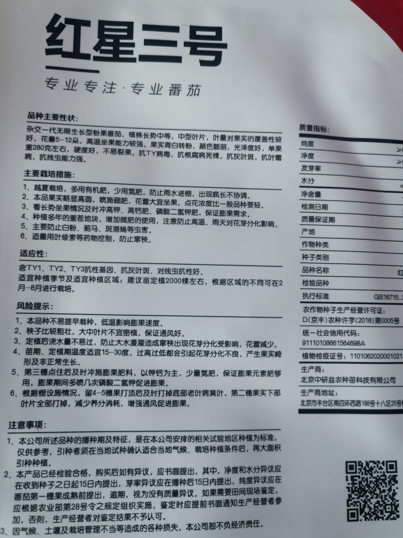 硬粉西红柿种子