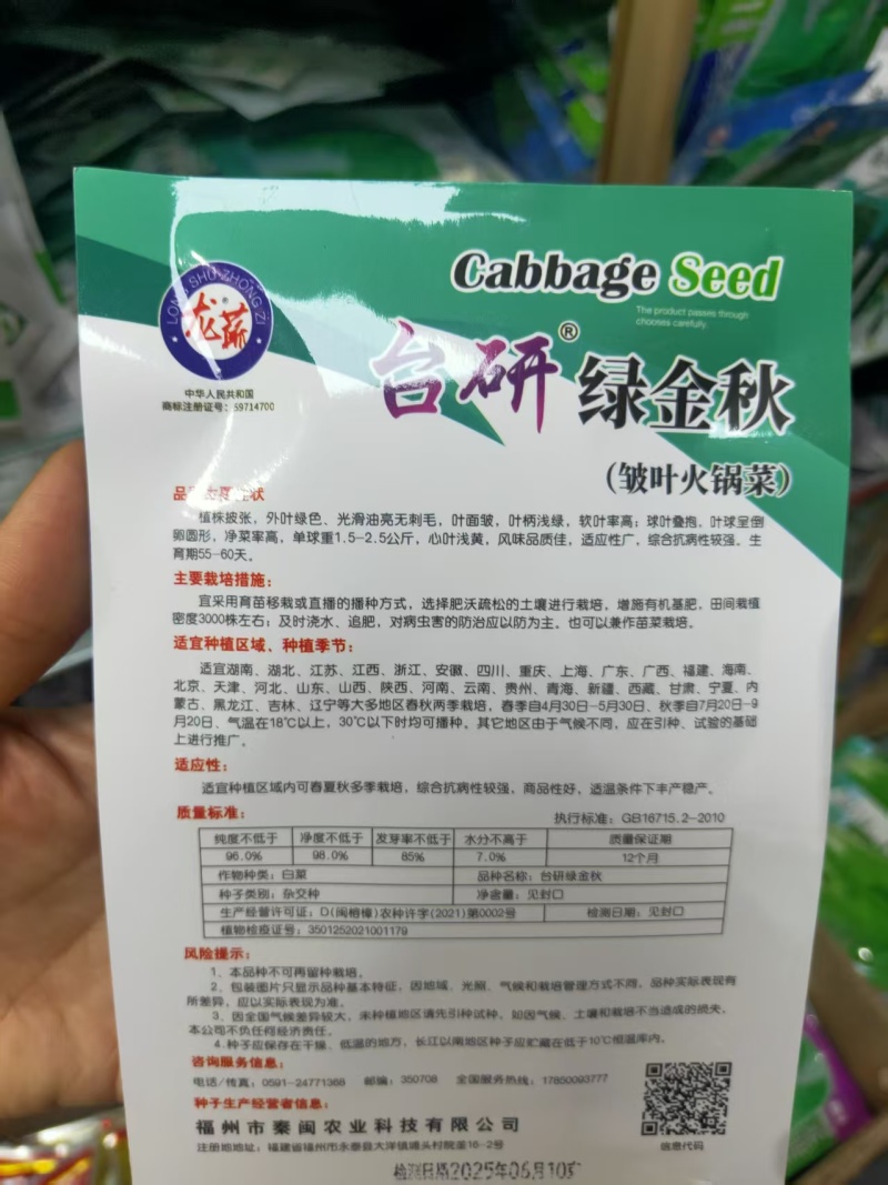 麻叶火锅菜种子生育期60天左右叶面较皱单球约2公斤左右