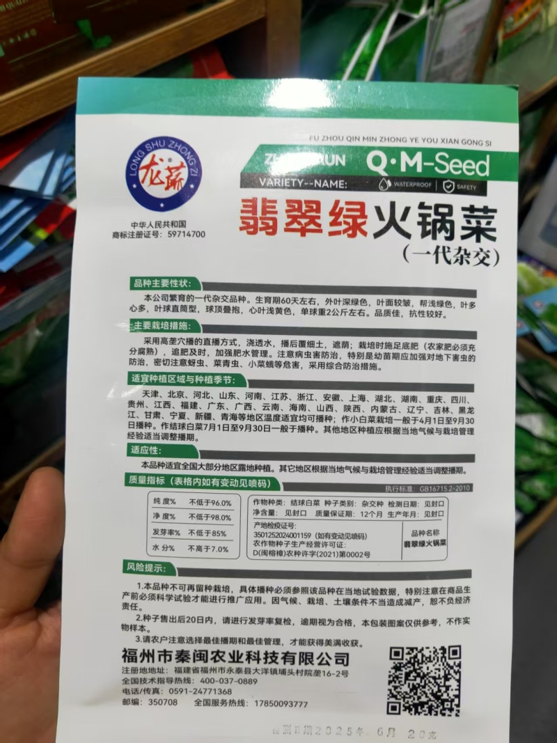 麻叶火锅菜种子生育期60天左右叶面较皱单球约2公斤左右