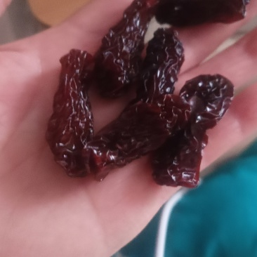 西山焦枣