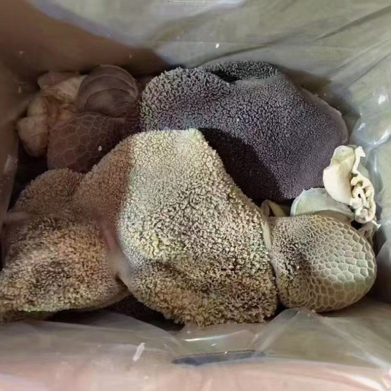 名盛熟羊肚