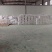 红薯淀粉基地直发量大从优品质保证欢迎来电