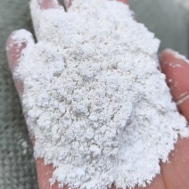红薯淀粉基地直发量大从优品质保证欢迎来电