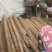 白玉山药大量上市
