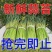 【红帽蒜薹】山东蒜薹/金乡蒜薹/新鲜蒜苔/价格便宜