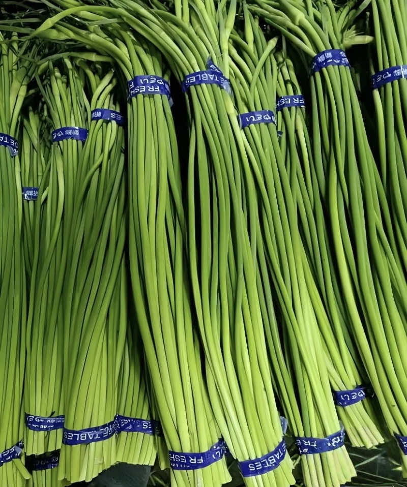【红帽蒜薹】山东蒜薹/金乡蒜薹/新鲜蒜苔/价格便宜
