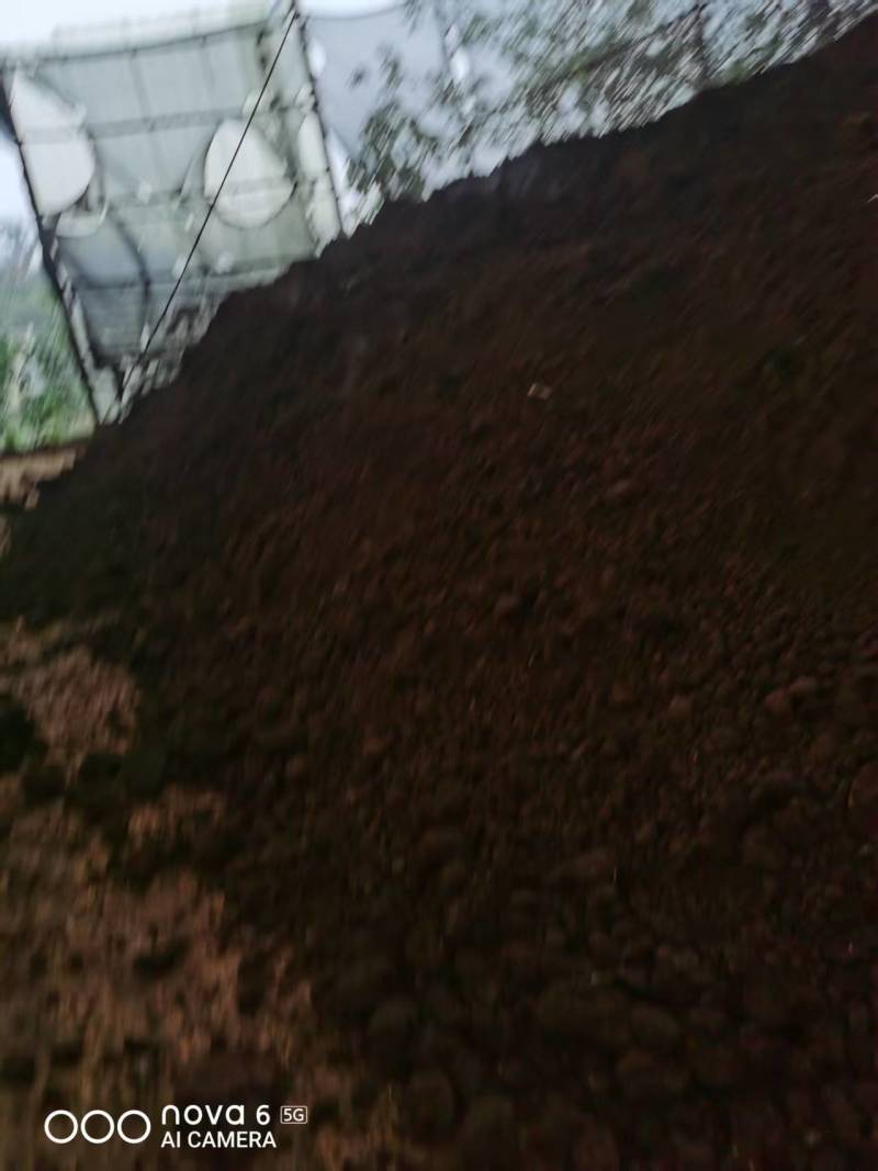 散装鸡粪纯干鸡粪四川鸡粪发酵鸡粪肥货源充足量大优