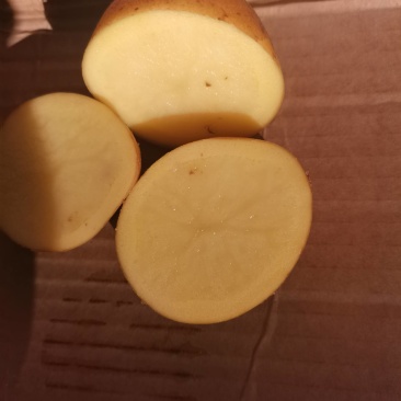 急供黄心黄皮土豆