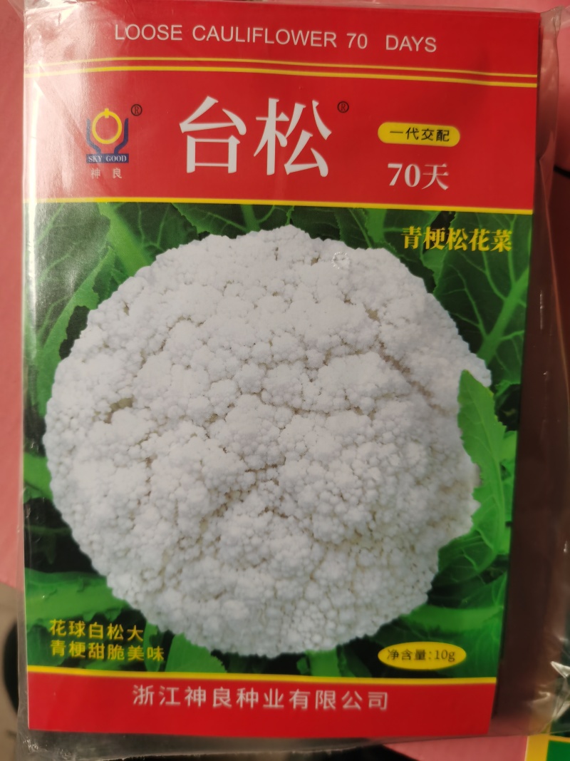 台松60天65天70天85天优质青梗松花菜种子