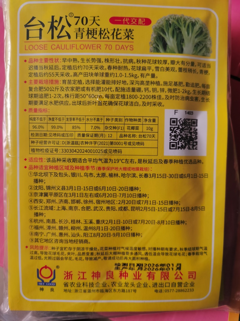 台松60天65天70天85天优质青梗松花菜种子