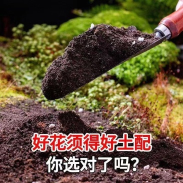 优质树叶腐殖土，大量上市，全国发货，欢迎进店沟通。