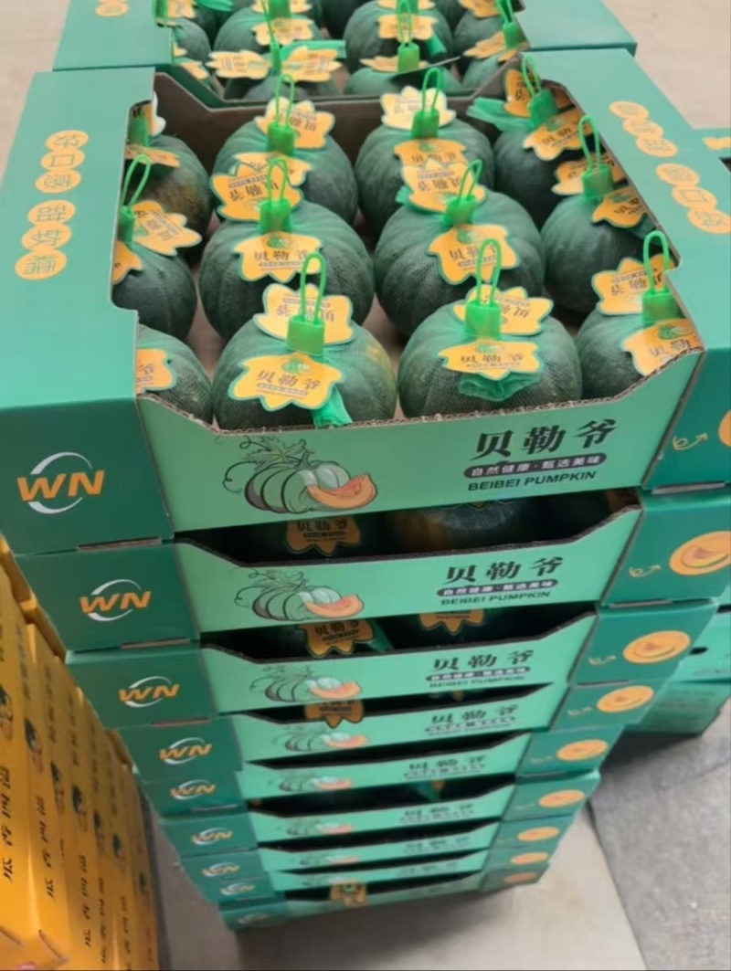 【优选商家】国产贝贝南瓜产地直供量大从优可视频看货