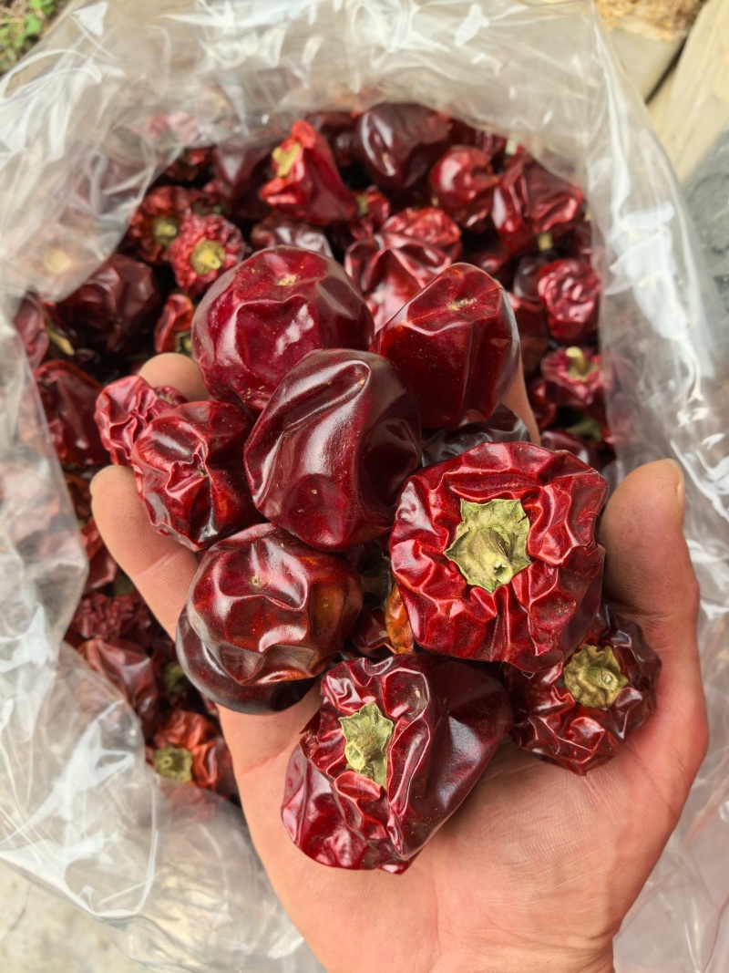 贵州灯笼椒/干辣椒/香味浓郁/回味甘甜/香辣型/全国包邮