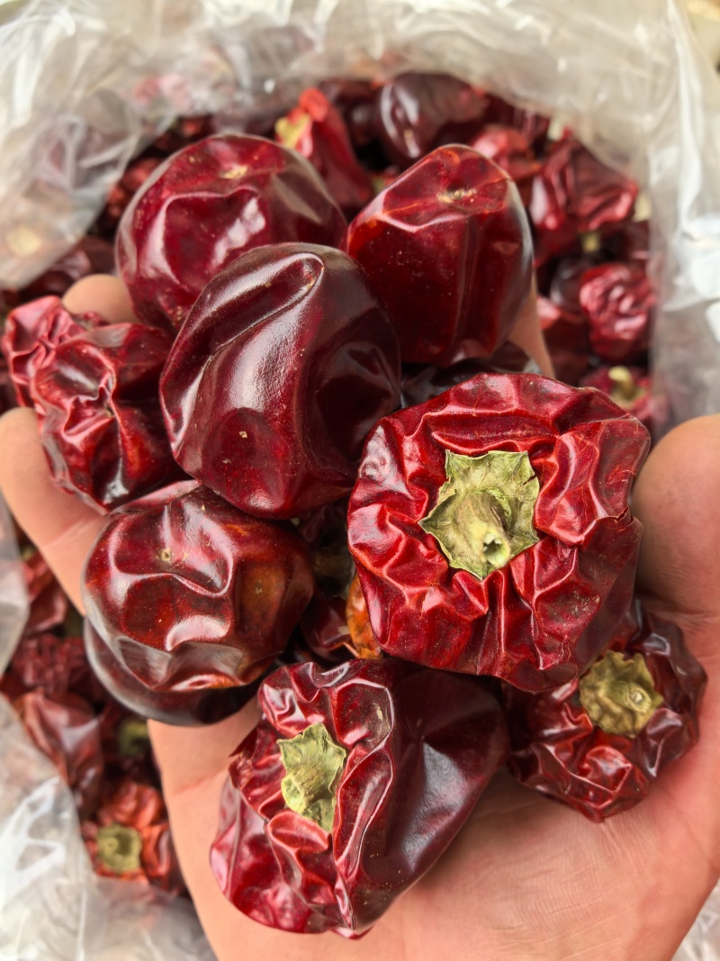 贵州灯笼椒/干辣椒/香味浓郁/回味甘甜/香辣型/全国包邮