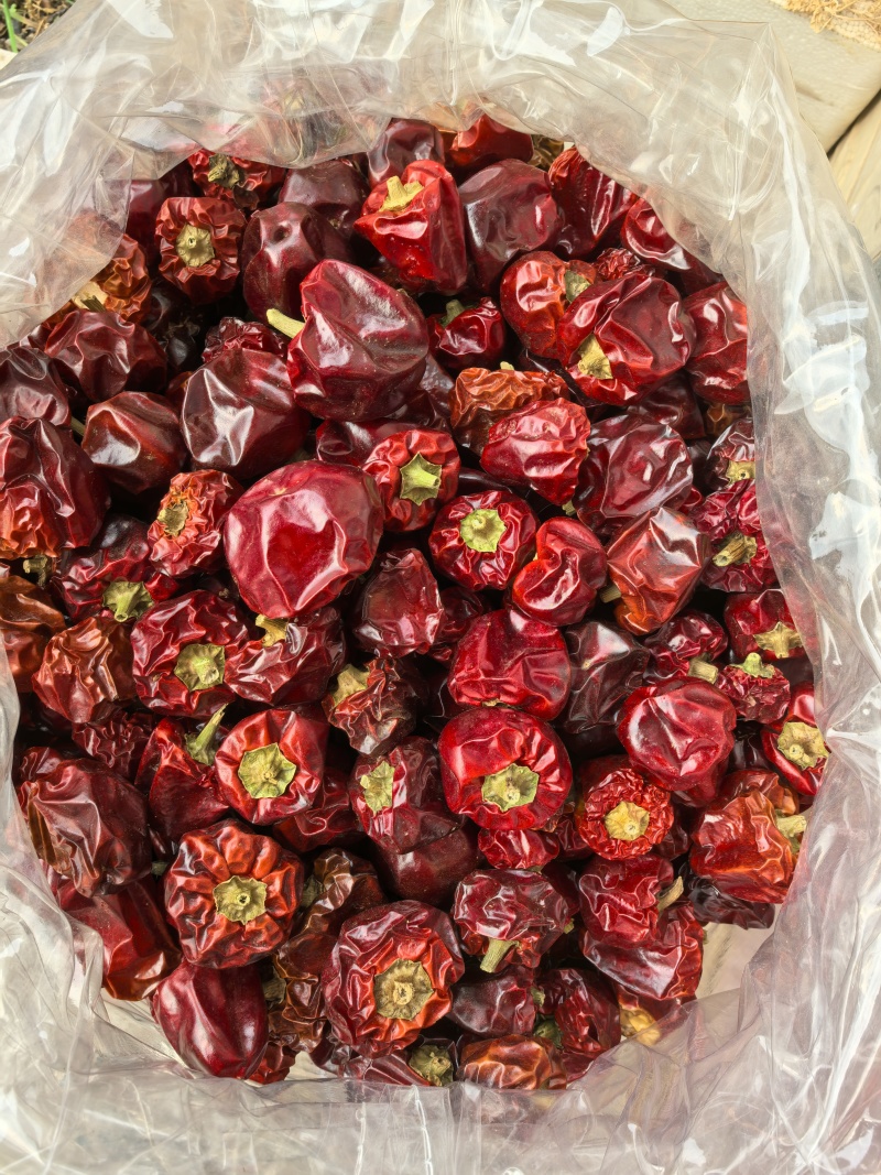 贵州灯笼椒/干辣椒/香味浓郁/回味甘甜/香辣型/全国包邮