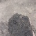 优质腐殖土大量上市，全国发货，欢迎进店沟通。