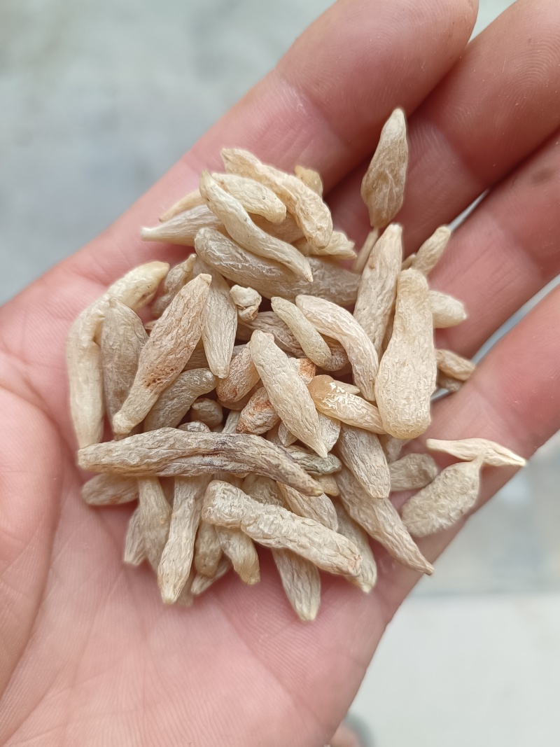 麦冬农家自种麦门冬寸冬中药材