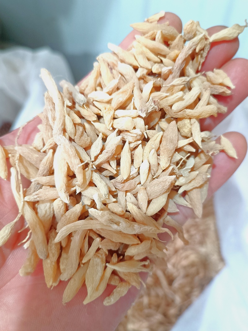 麦冬农家自种麦门冬寸冬中药材