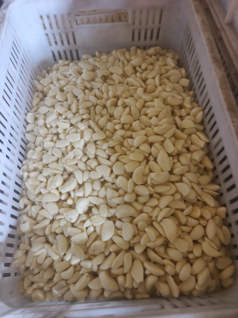 精品工厂米无糖无冻瓣色泽鲜亮