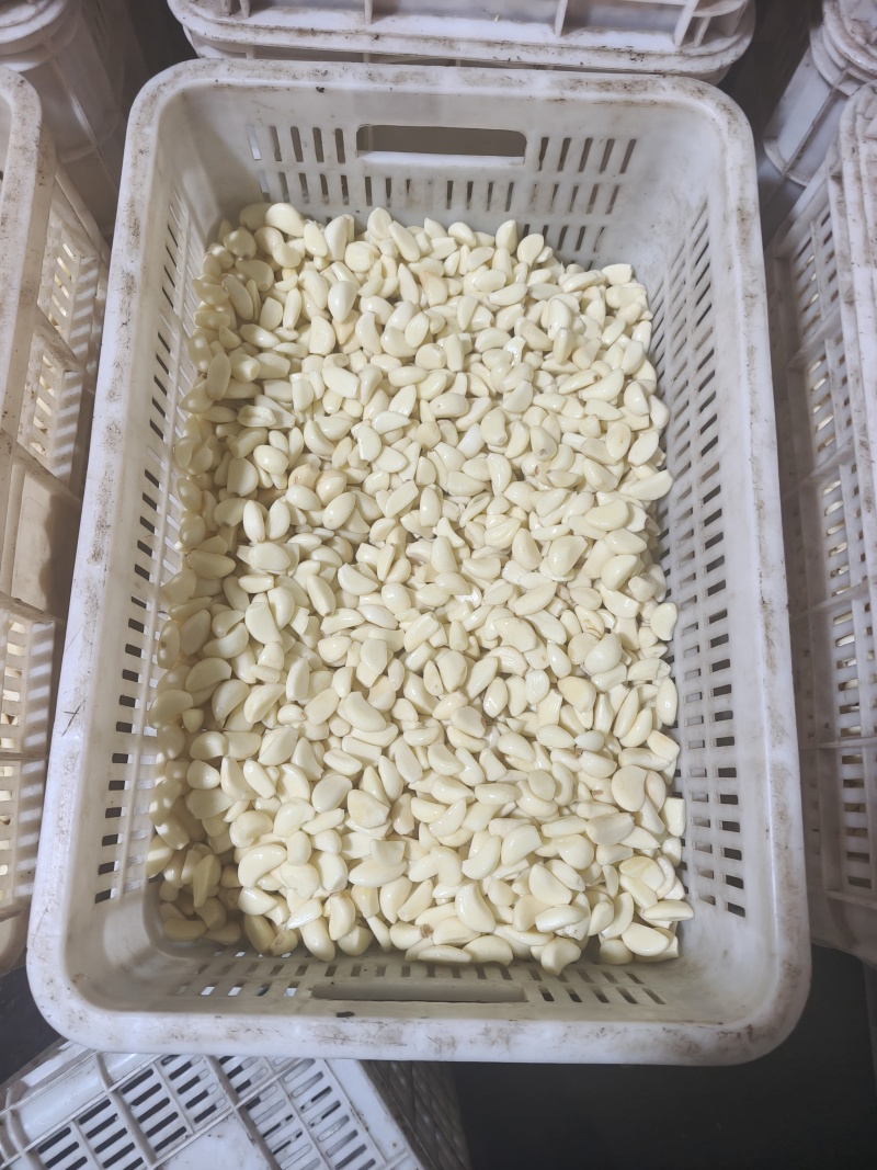 精品工厂米无糖无冻瓣色泽鲜亮