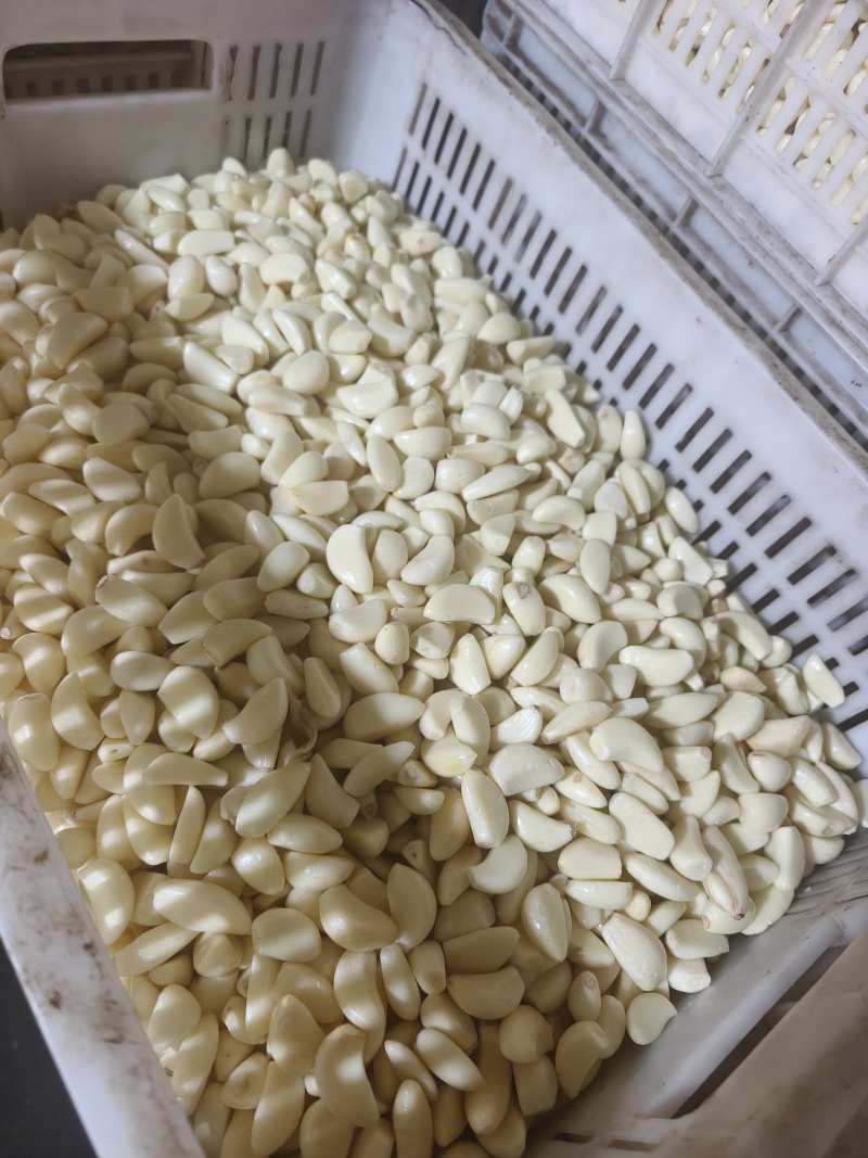精品工厂米无糖无冻瓣色泽鲜亮