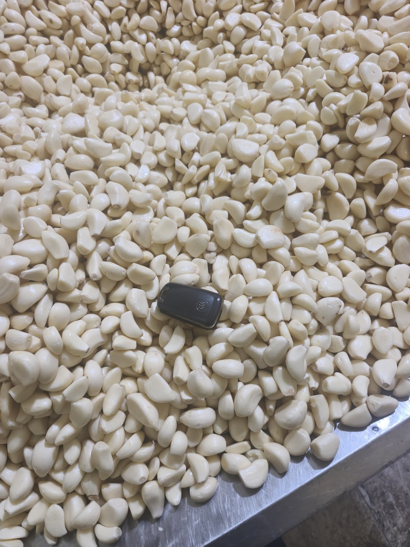 精品工厂米无糖无冻瓣色泽鲜亮