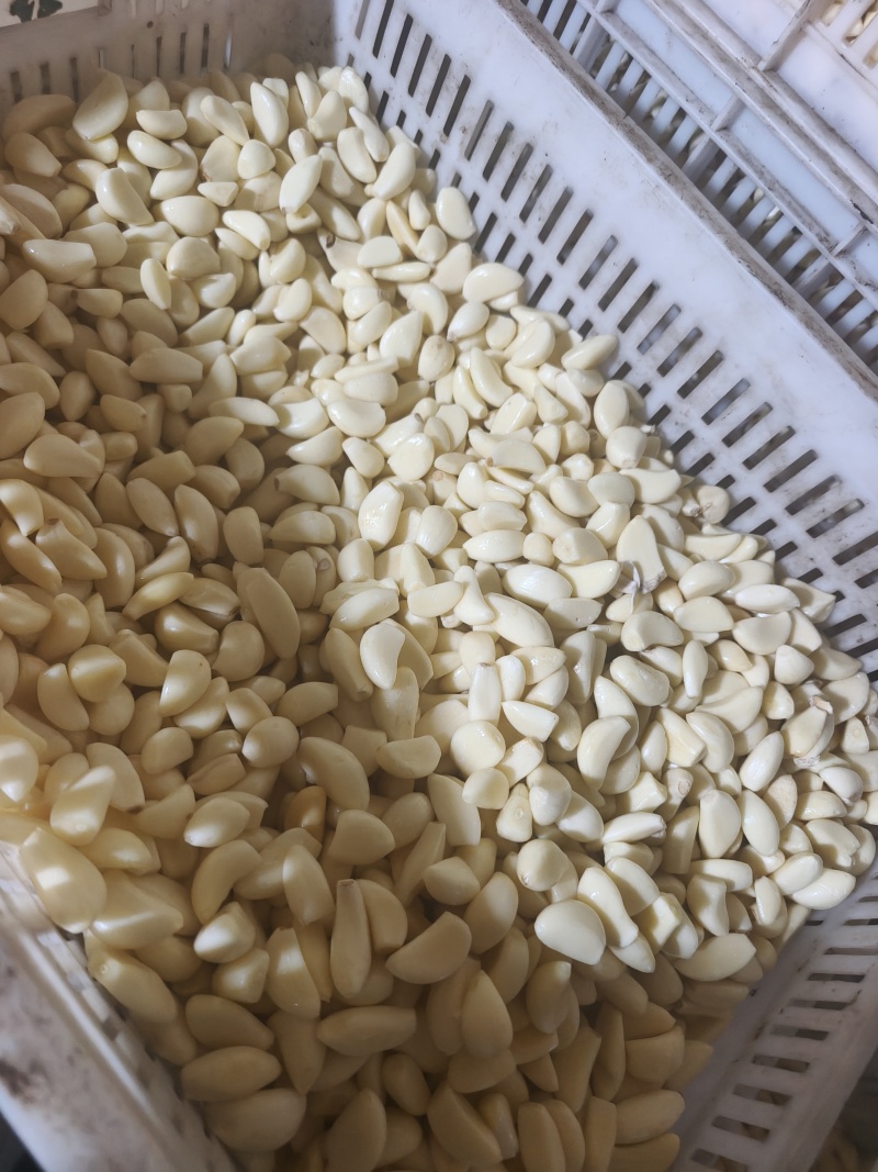 精品工厂米无糖无冻瓣色泽鲜亮