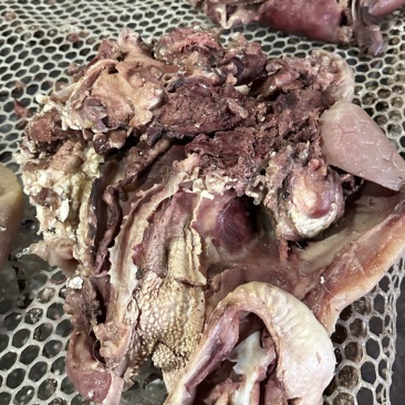 五香全熟牛头肉，天天现煮，欢迎品尝