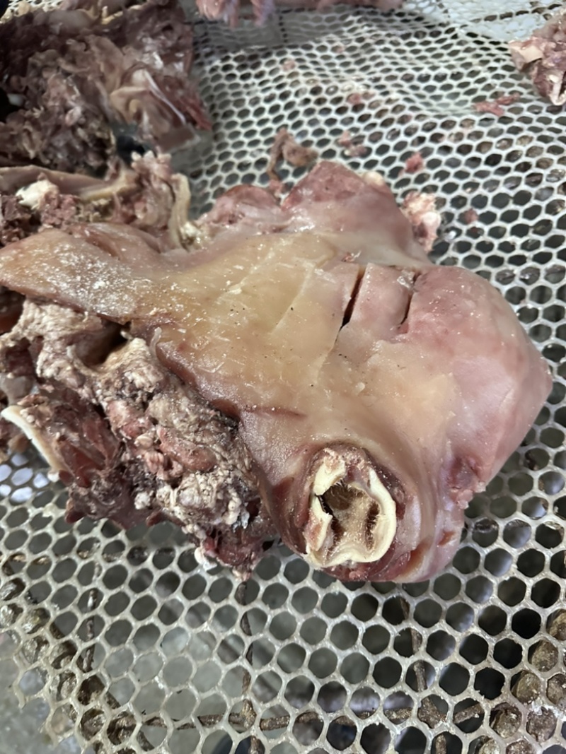 五香全熟牛头肉，天天现煮，欢迎品尝