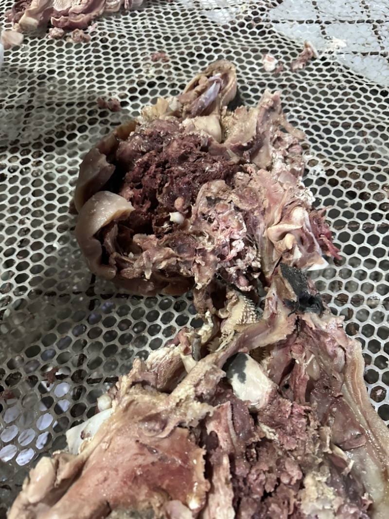 五香全熟牛头肉，天天现煮，欢迎品尝