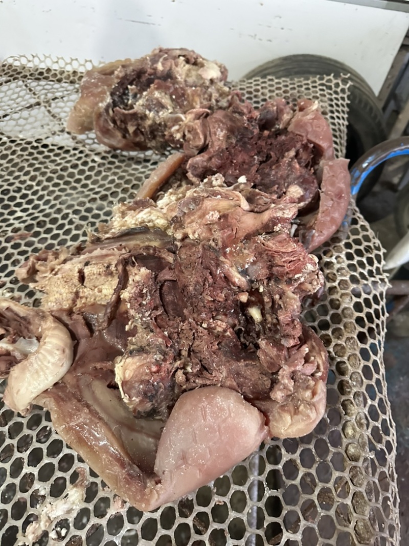 五香全熟牛头肉，天天现煮，欢迎品尝