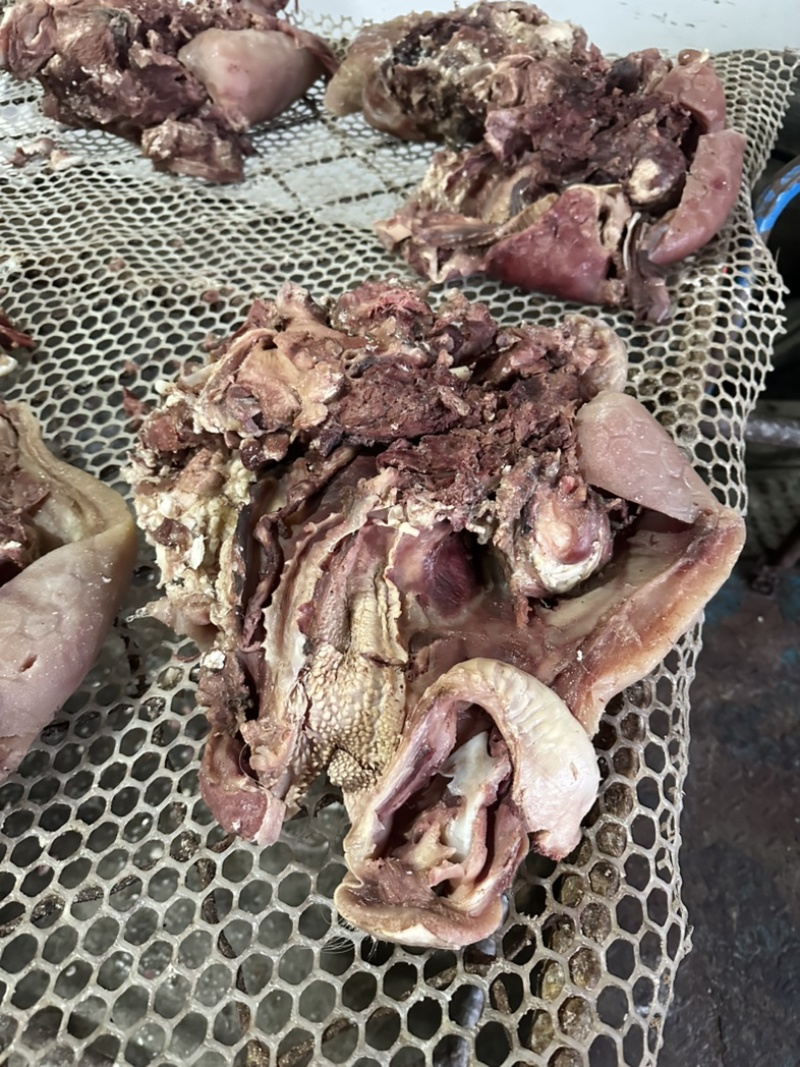 五香全熟牛头肉，天天现煮，欢迎品尝