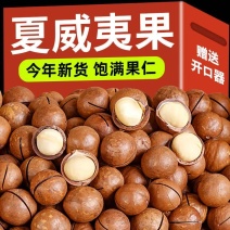夏威夷果各种规格各电商平台一件代发