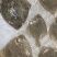 多宝鱼现货现发精品多宝鱼诚信经营基地直供品质优可视频看货