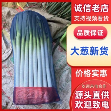 山东大葱品质保证从业几十年诚信经营量大从优