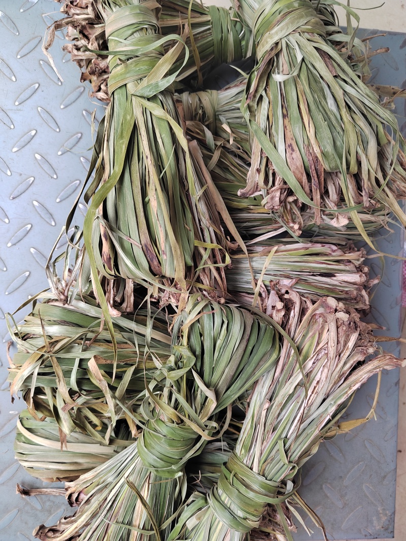 菖蒲苗，石菖蒲苗带根，水洗太阳晒干