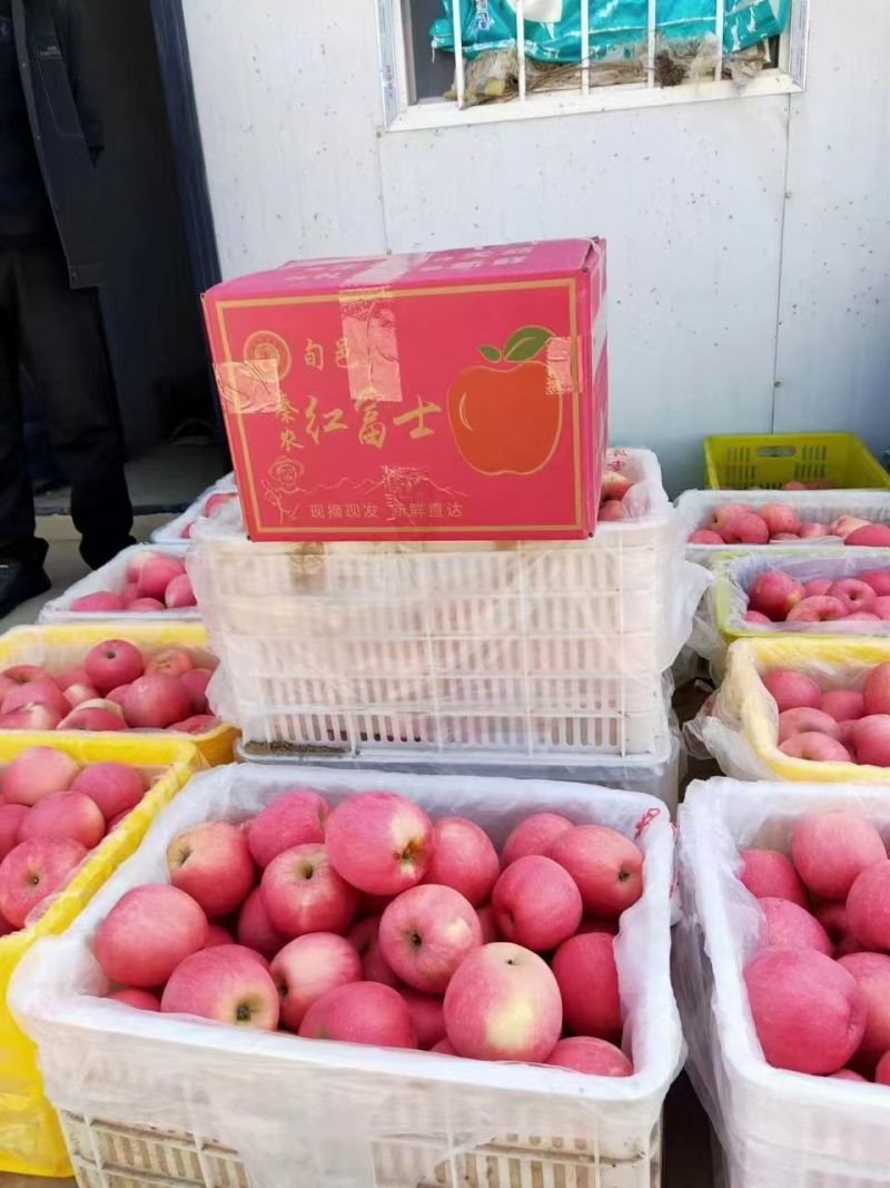 红富士