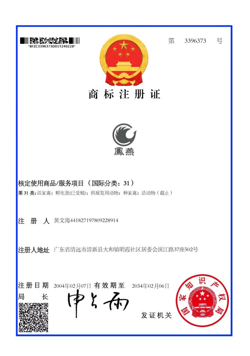 清远三黄鸡鸡肉一手货源现杀现发量大从优欢迎咨询