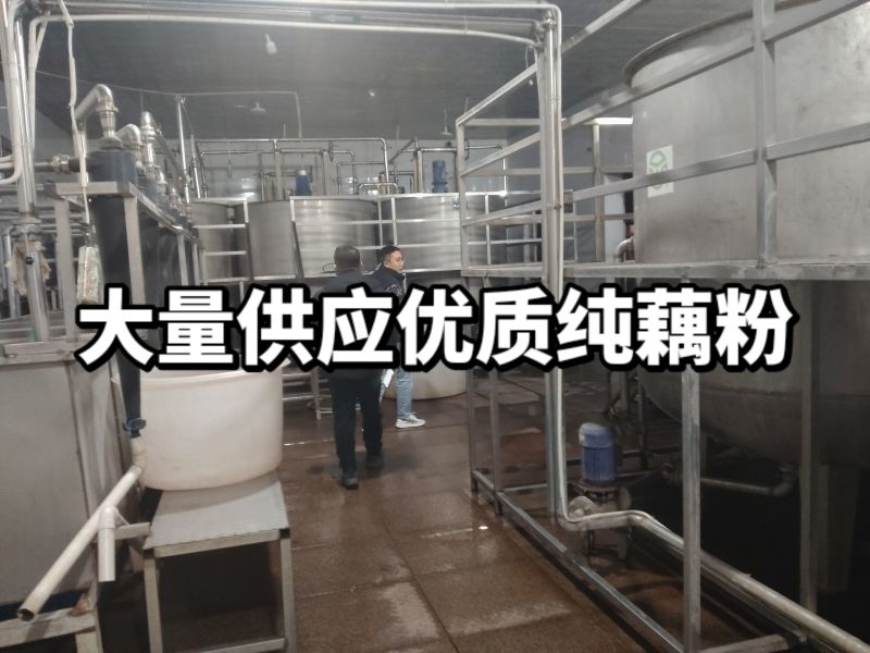 纯藕粉大量供应