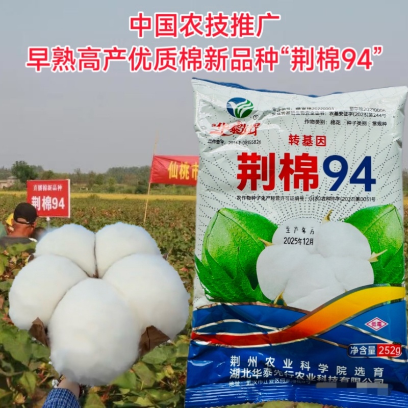 荆棉94国审棉花种子高产大桃耐重茬抗虫棉花种籽春播大田