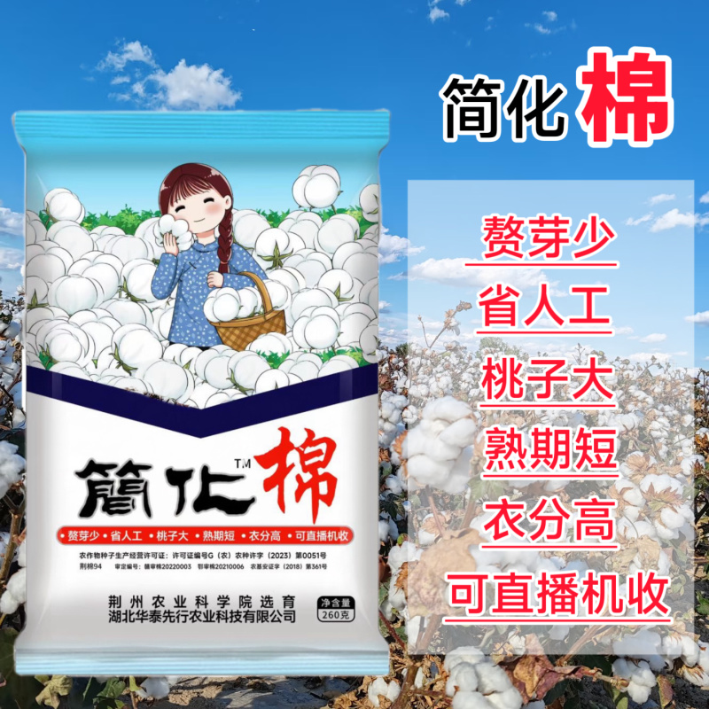 简化棉棉花种子高产抗虫抗病农家大田基地易种植棉花种