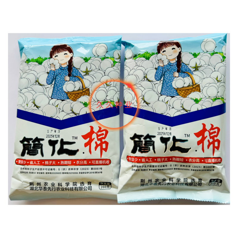 简化棉棉花种子高产抗虫抗病农家大田基地易种植棉花种