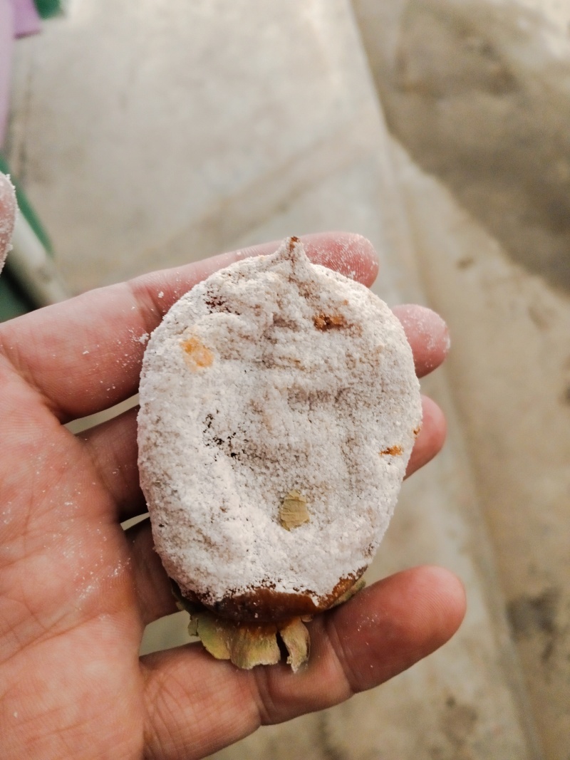 柿饼