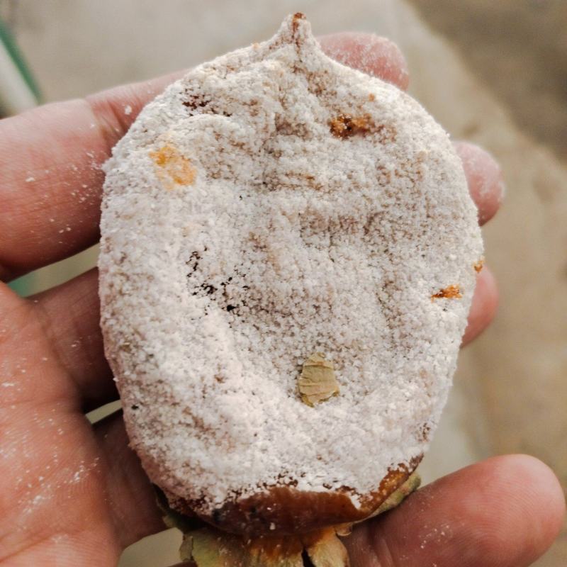 柿饼