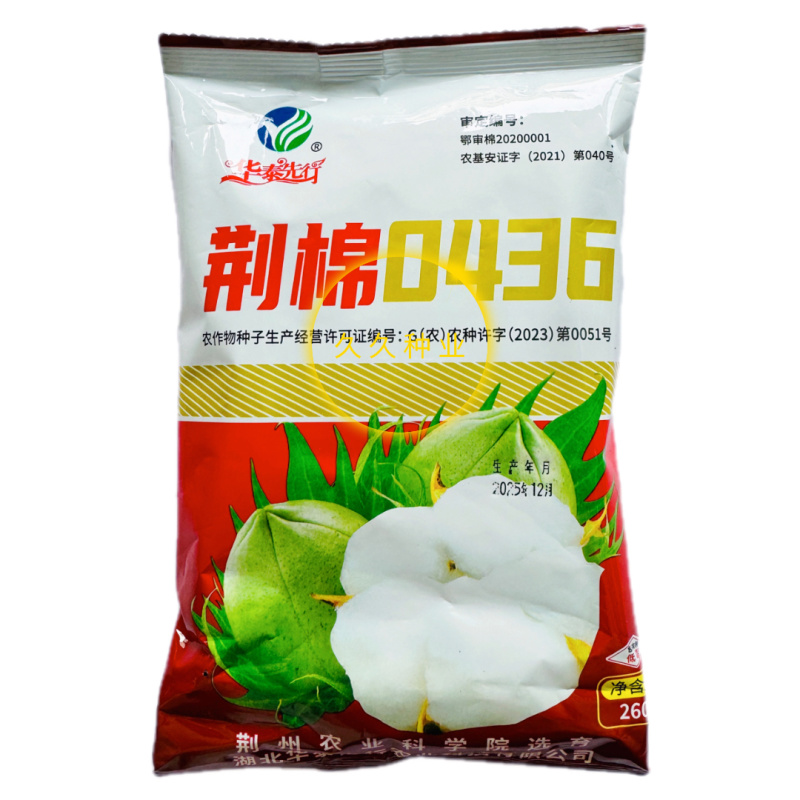 荆棉0436棉种子原装当季大田高产抗病虫春夏种植