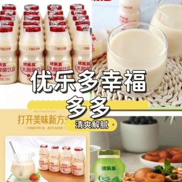 乳正元益菌多乳酸菌风味饮料100ml*20瓶学生儿童营养